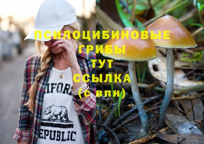 Псилоцибиновые грибы Psilocybine cubensis  Новоаннинский 